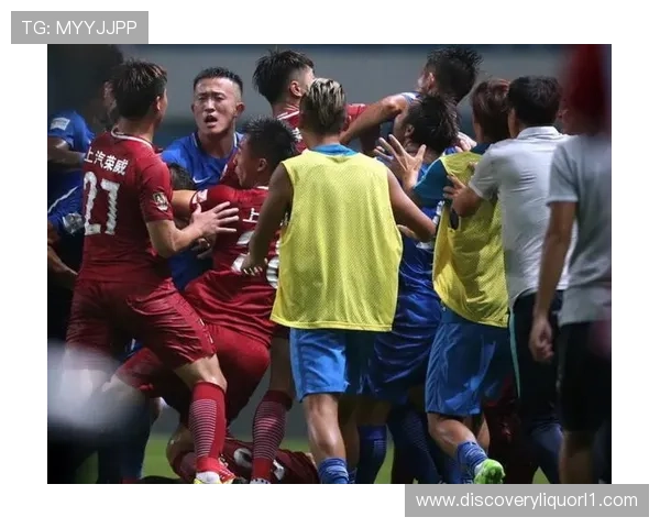 里沙利松锁喉事件引发球场暴力争议